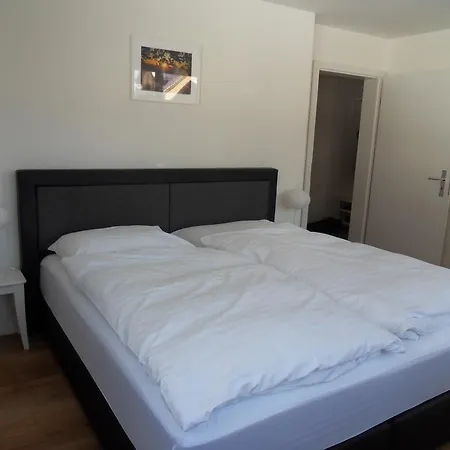 Silverpeak Appartement Wengen