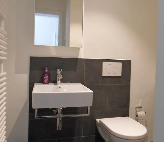 锡尔弗皮克公寓 *